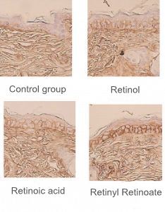 Retinyl Retinoate.