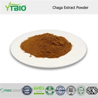 „Chaga“ ekstrakto milteliai