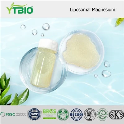 Liposominis magnis